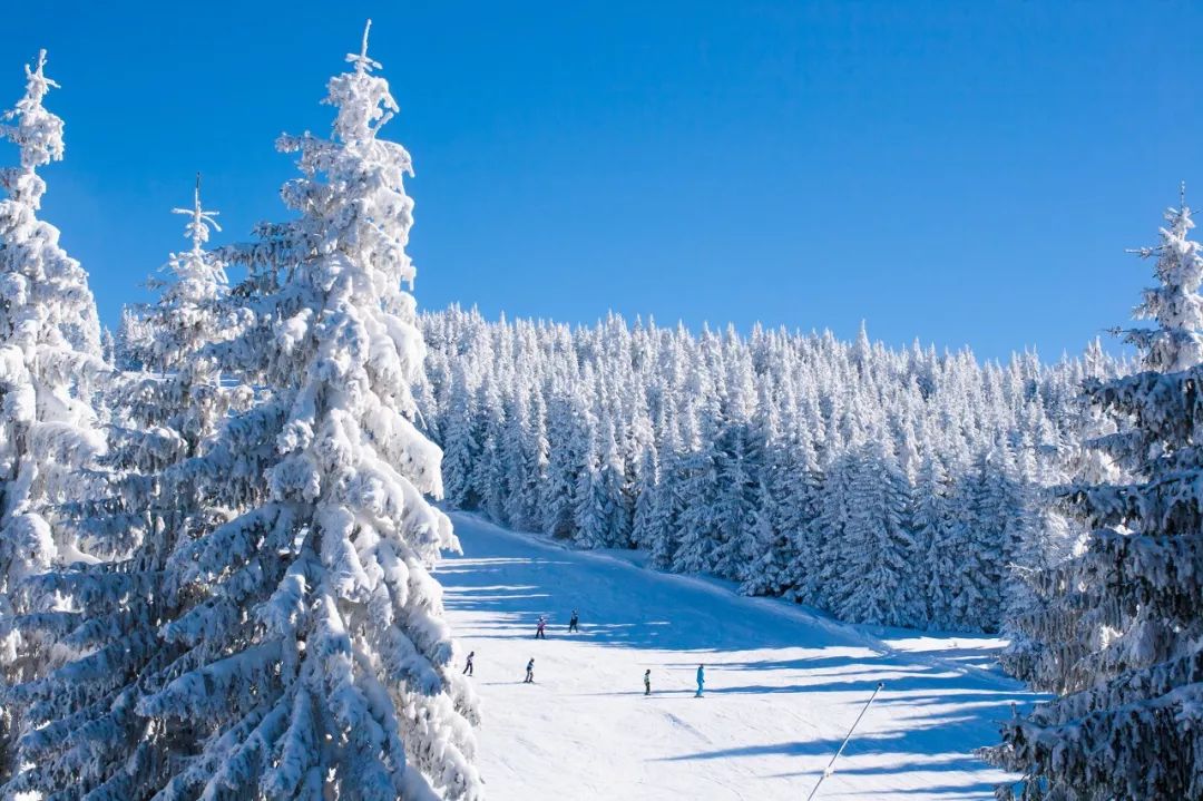 冬季免簽之旅！玩雪、古跡和無處不在的驚喜 旅遊 第12張