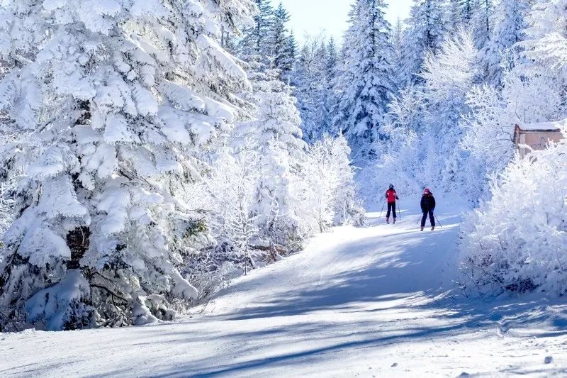 冬季免簽之旅！玩雪、古跡和無處不在的驚喜 旅遊 第26張