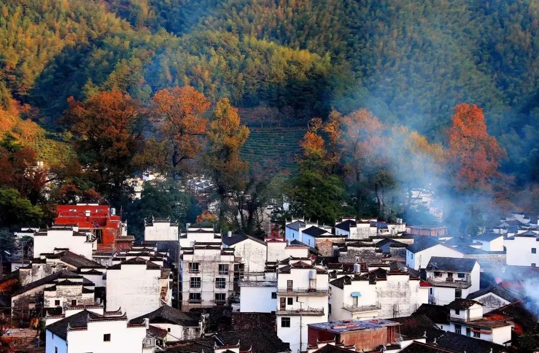 學生黨爽翻~這個夏天，江西省4A級以上景區門票全免費！ 旅遊 第4張