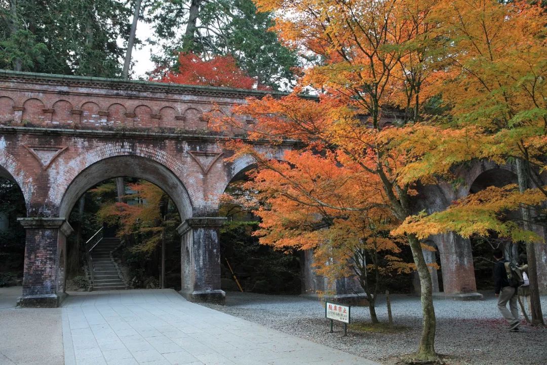 除了一年開兩次的琉璃光院，京都還私藏了些紅葉勝地能讓你驚嘆不已～ 旅行 第14張