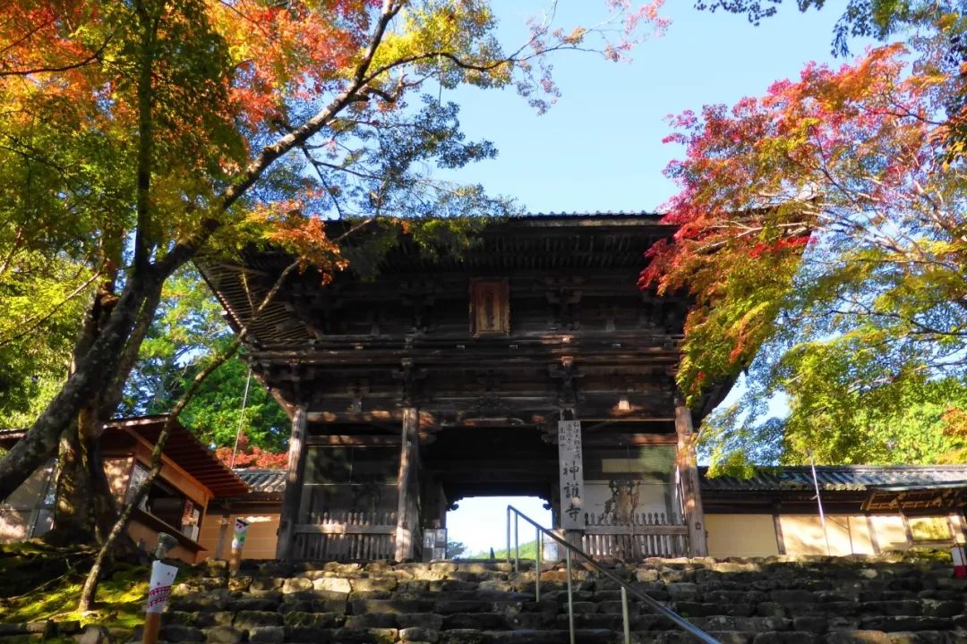 除了一年開兩次的琉璃光院，京都還私藏了些紅葉勝地能讓你驚嘆不已～ 旅行 第6張