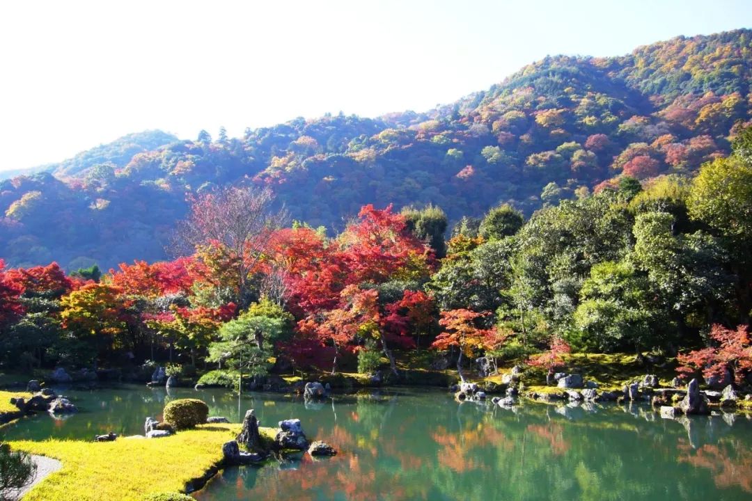 除了一年開兩次的琉璃光院，京都還私藏了些紅葉勝地能讓你驚嘆不已～ 旅行 第5張