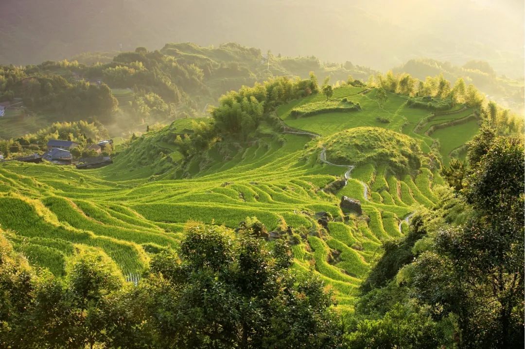 中國超驚艷山水秘境，滿足你所有的夏日幻想 旅遊 第27張