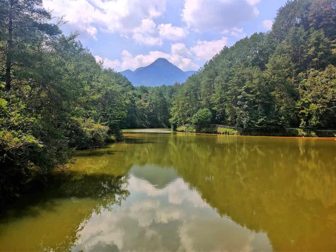 中國超驚艷山水秘境，滿足你所有的夏日幻想 旅遊 第16張