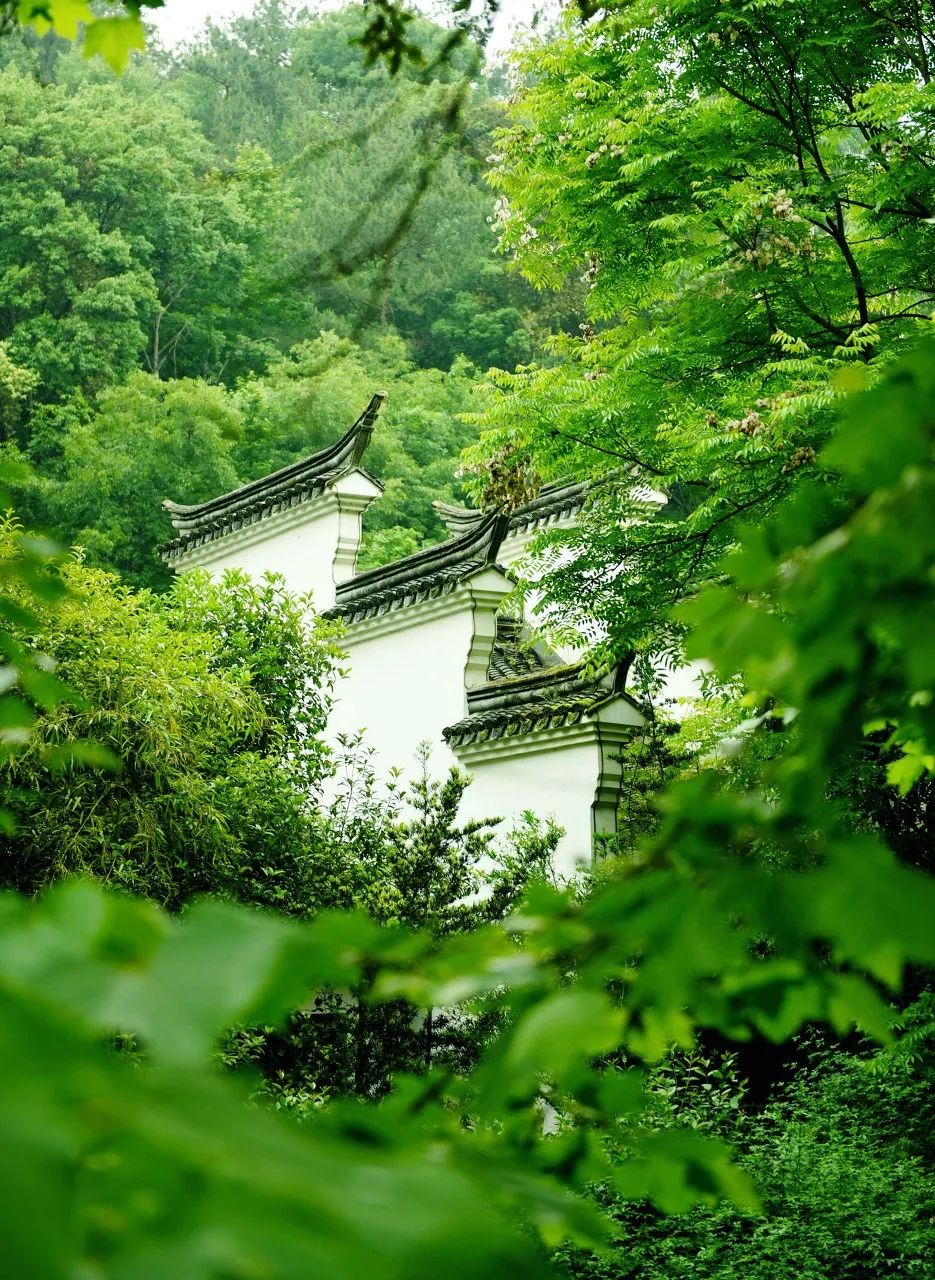 中國超驚艷山水秘境，滿足你所有的夏日幻想 旅遊 第6張