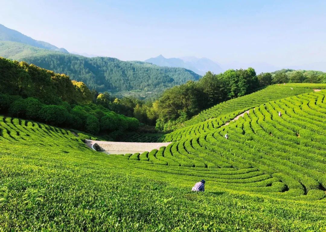 中國超驚艷山水秘境，滿足你所有的夏日幻想 旅遊 第53張