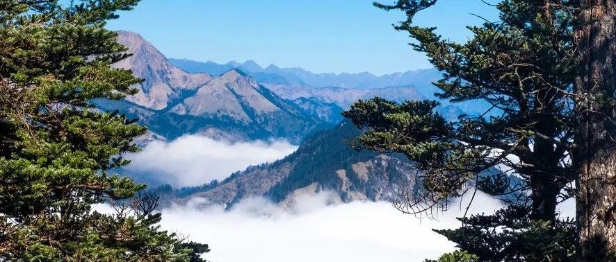 在无人不爱的“网红”之都，也能躲开人潮，寻觅赏春好去处！