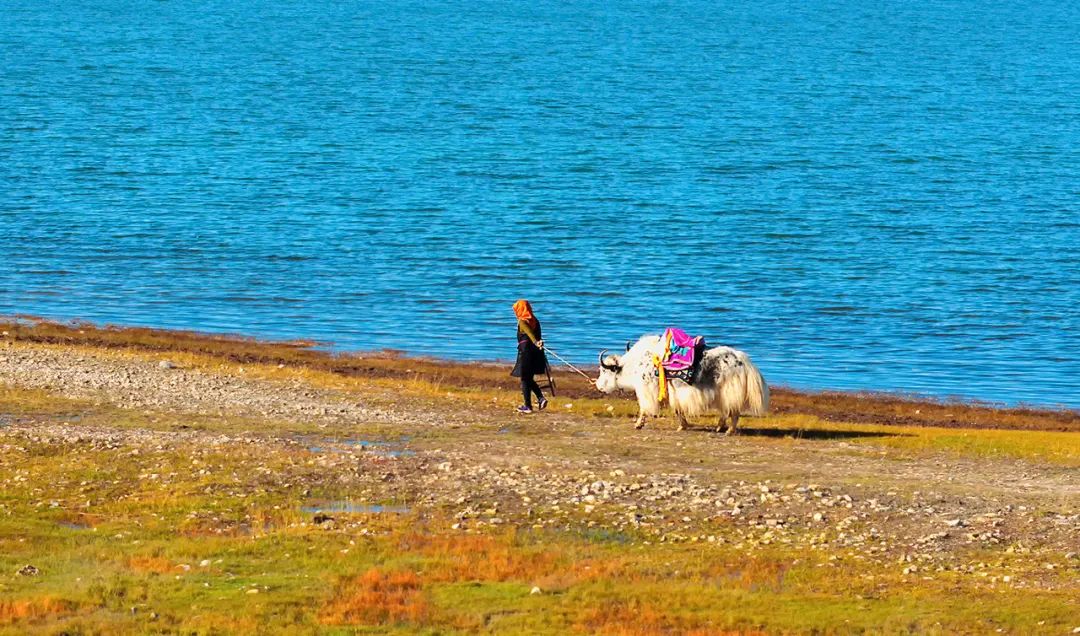 中國像極外星球的旅行地，去一次怎麼夠？ 旅遊 第24張