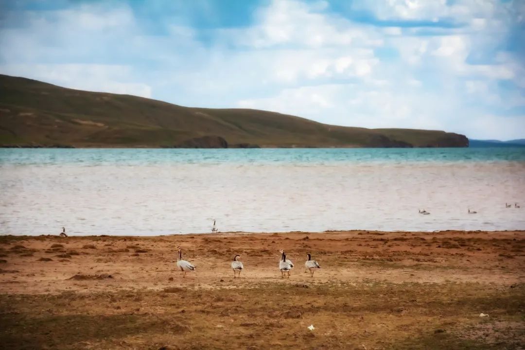 中國的絕美湖泊都在哪兒？除了網紅湖還可以看什麼？ 旅遊 第6張