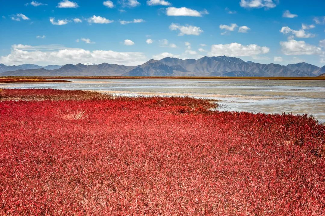 中國的絕美湖泊都在哪兒？除了網紅湖還可以看什麼？ 旅遊 第12張