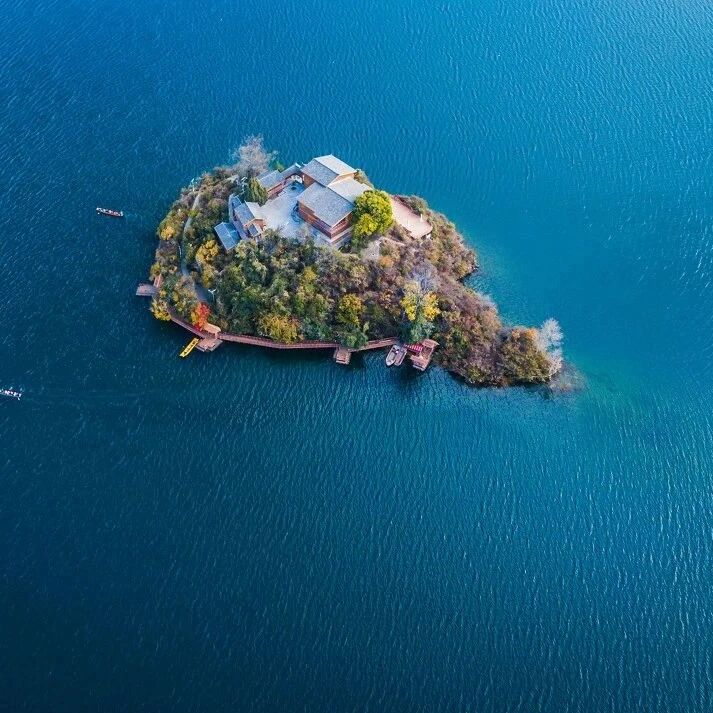 无数人心中的白月光，冬季的它魅力依旧