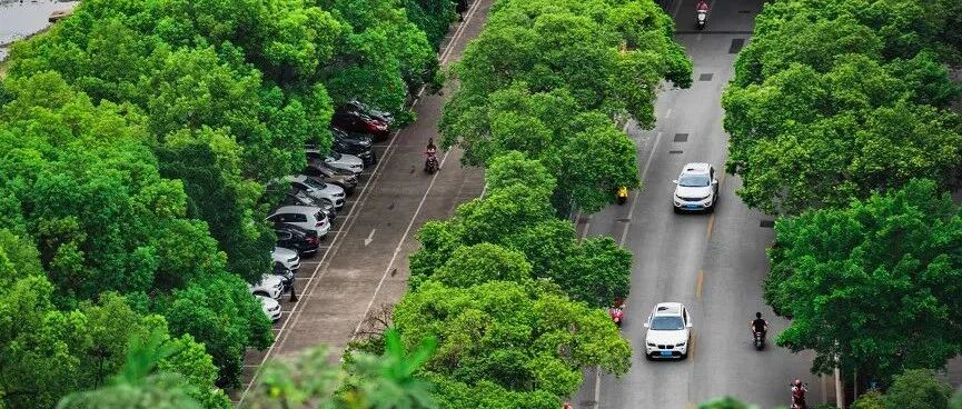 6条City Walk路线，带你走过百年城市变迁