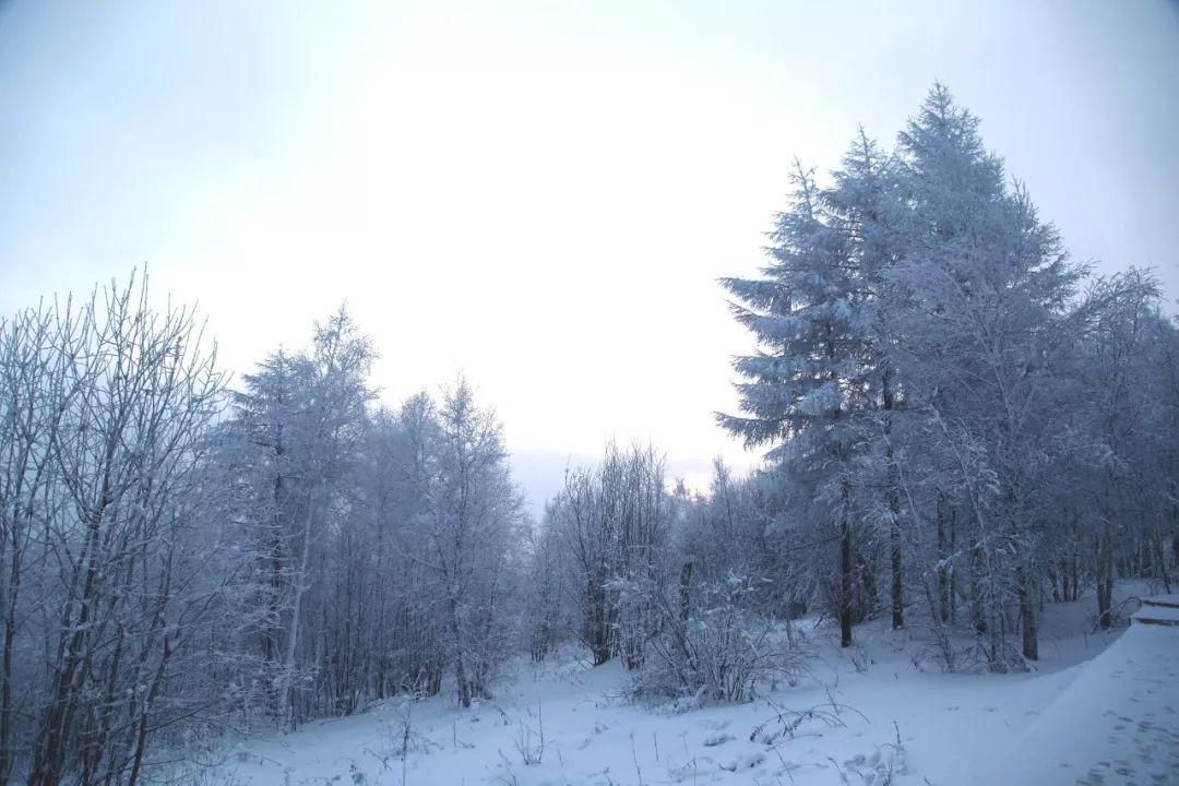 你住的城市從不下雪？來邊境小城滑雪泡湯，滿足對冬天的一切想像！ 新聞 第5張