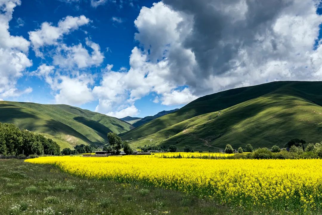 十一自駕不去新疆​，還能去哪？ 旅遊 第49張