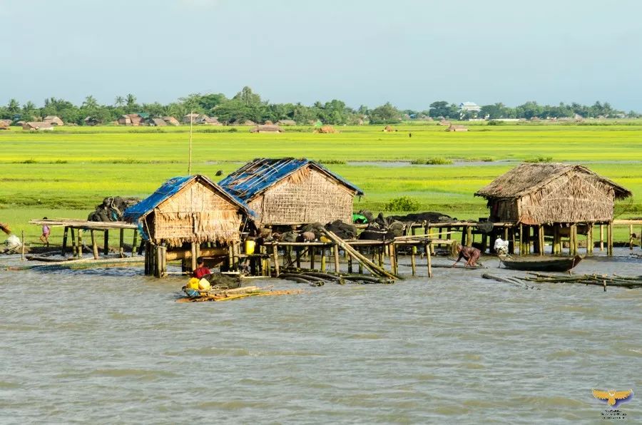 過年不想見親戚？這些免簽、落地簽的地方不僅好玩還能滿足你 旅遊 第32張