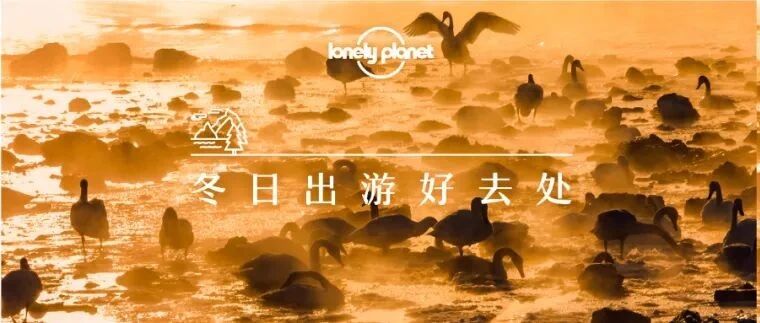 1月去哪里？来一份冬游指南，大江南北都有好去处