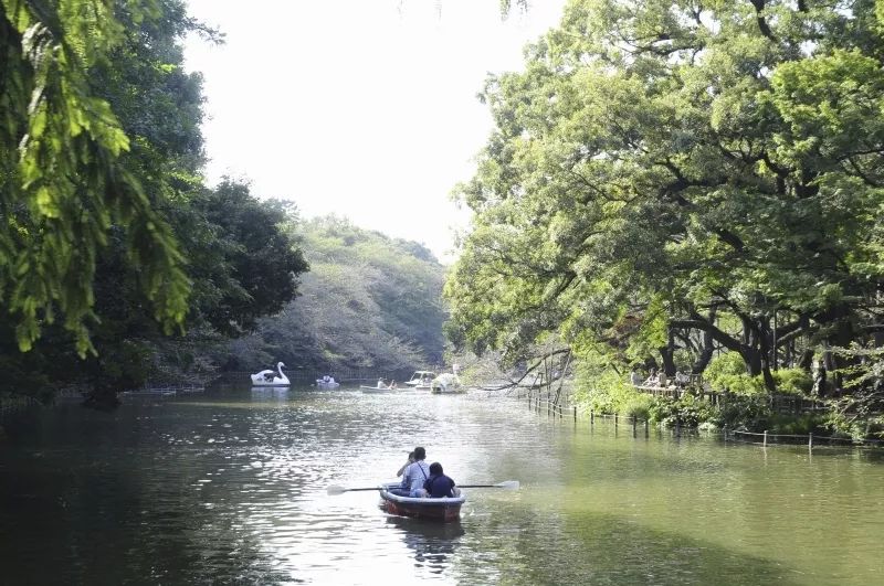 承包你未來的東京遊！四天經典旅行路線已經準備上了～ 旅行 第41張