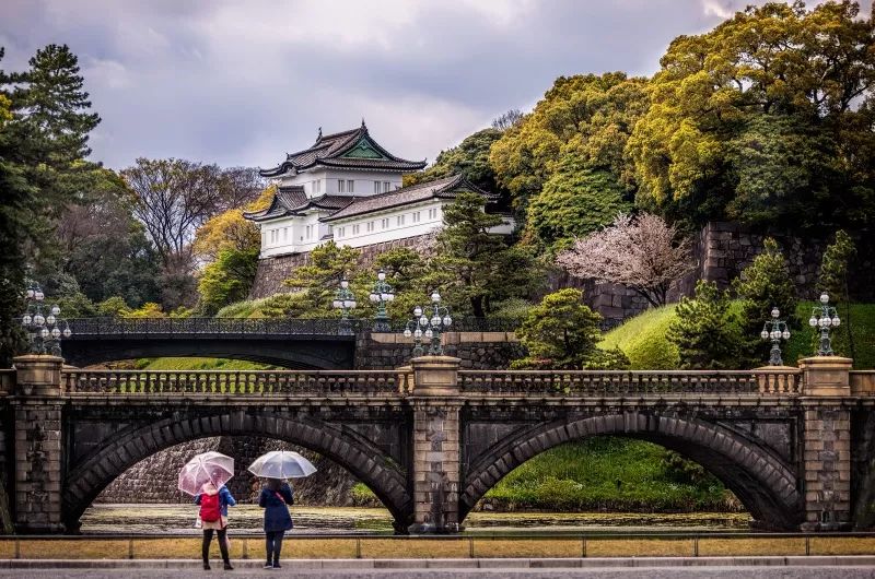 承包你未來的東京遊！四天經典旅行路線已經準備上了～ 旅行 第23張