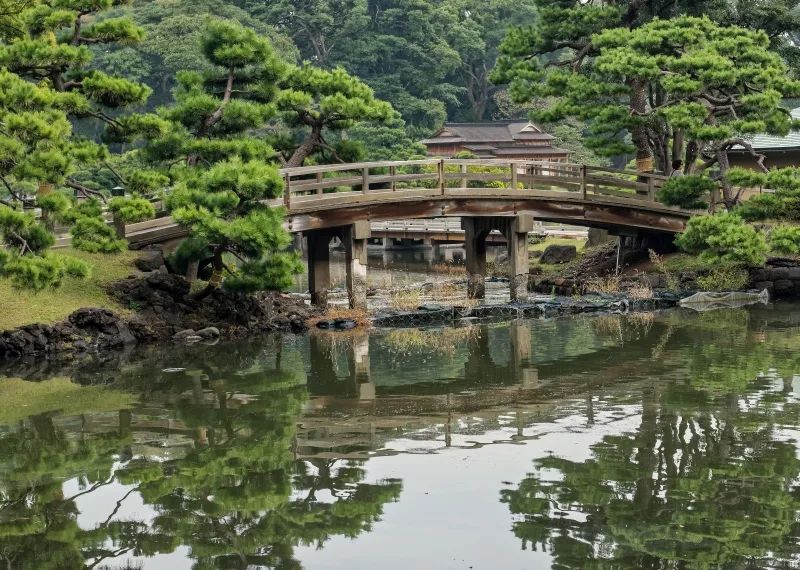 承包你未來的東京遊！四天經典旅行路線已經準備上了～ 旅行 第21張