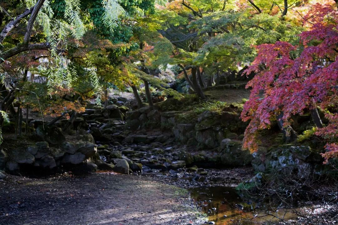 今年紅葉季，應該去哪裡？ 旅遊 第23張