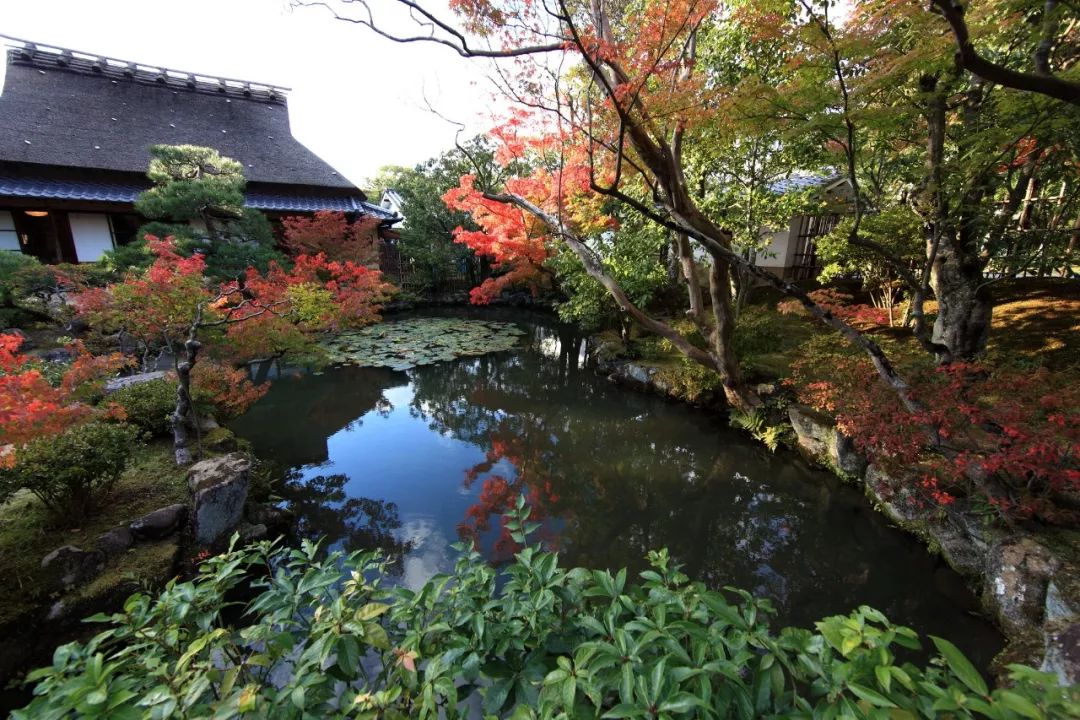 今年紅葉季，應該去哪裡？ 旅遊 第48張