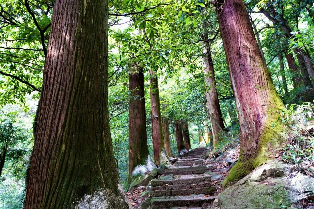 跟著當地人探索目的地，收獲最獨特的旅行體驗 旅遊 第26張