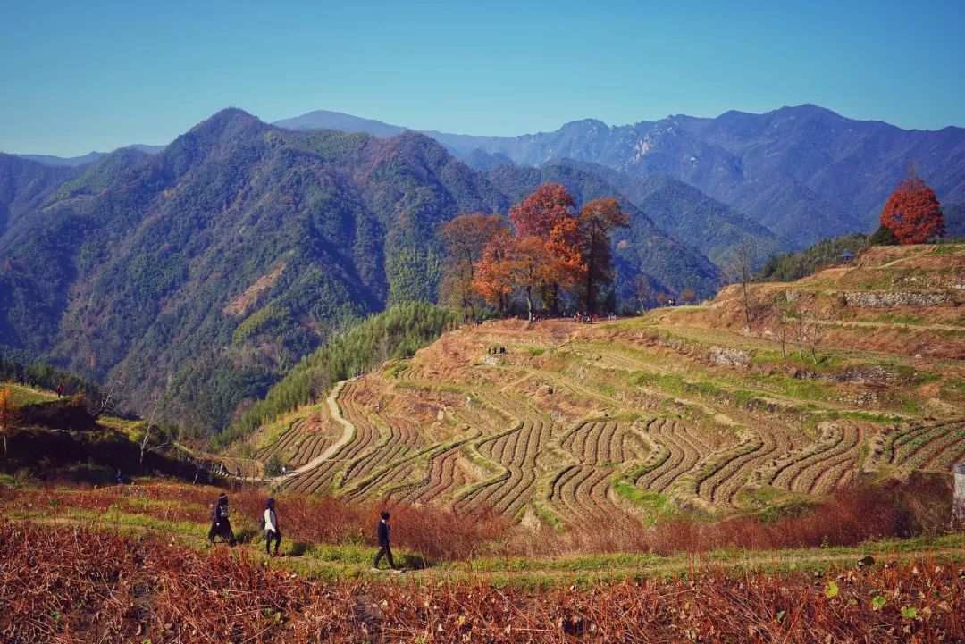 跟著當地人探索目的地，收獲最獨特的旅行體驗 旅遊 第25張