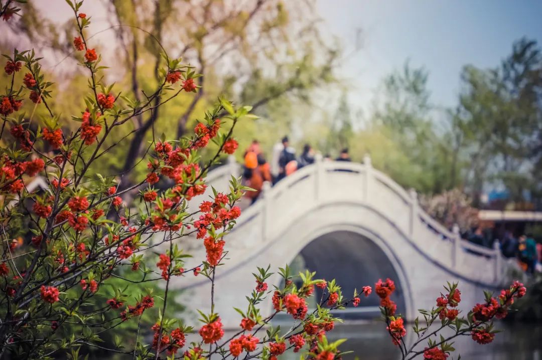 跟著當地人探索目的地，收獲最獨特的旅行體驗 旅遊 第6張