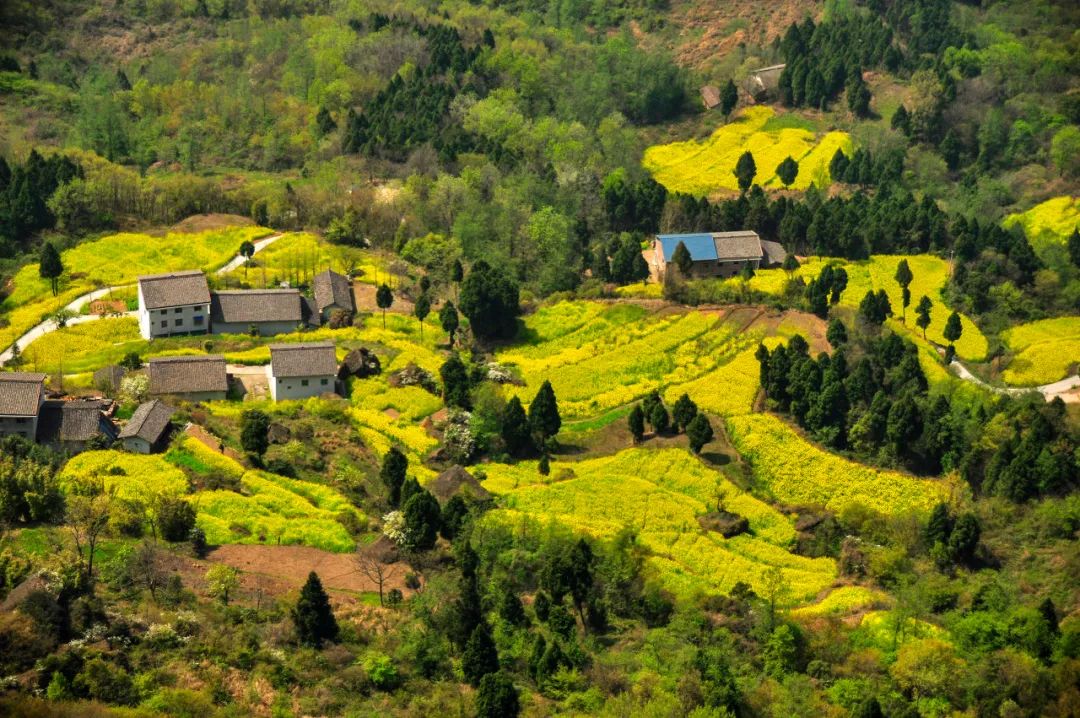 跟著當地人探索目的地，收獲最獨特的旅行體驗 旅遊 第22張