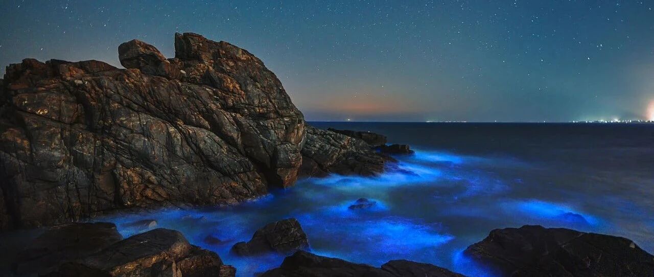 美上热搜的小众海岛，现在高铁即可直达！“蓝眼泪”超梦幻