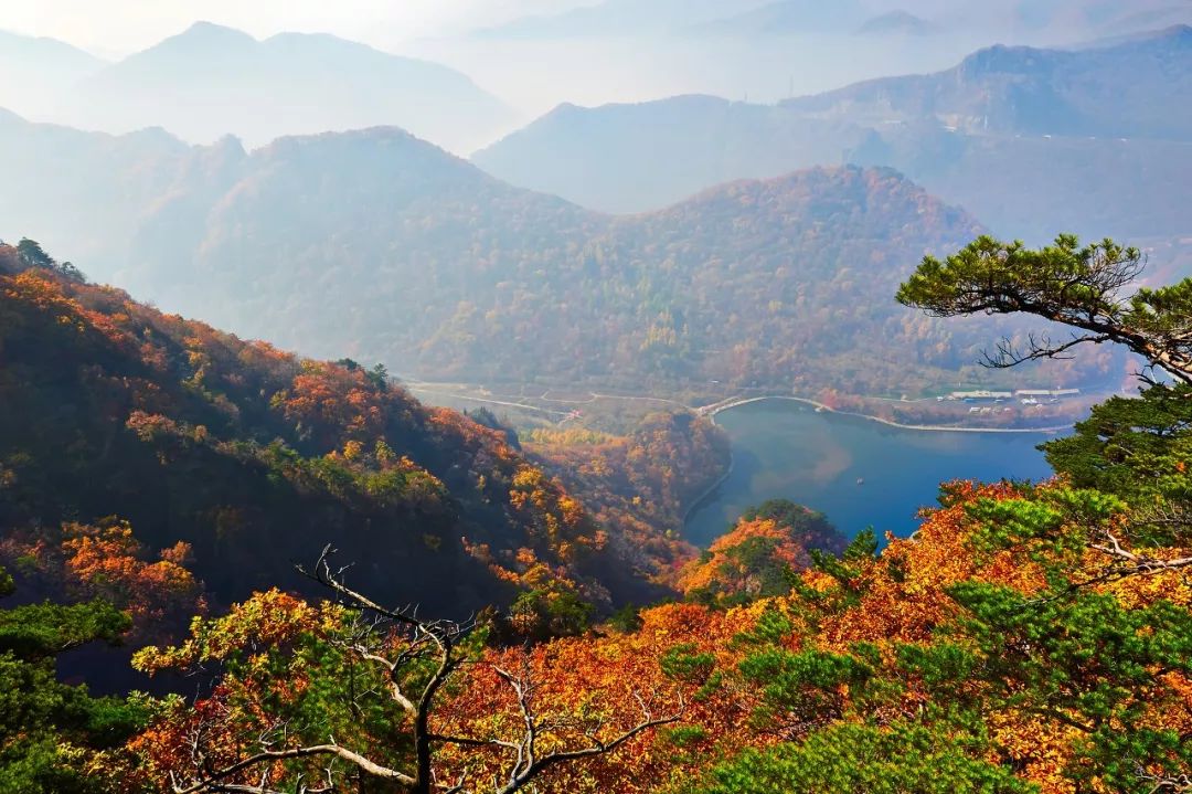 中國秋日美景大賞！你需要知道的6個目的地 旅遊 第8張