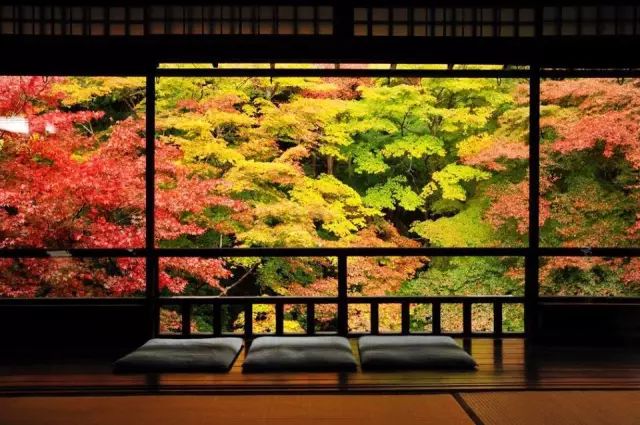 除了一年開兩次的琉璃光院 京都還私藏了些紅葉勝地能讓你驚嘆不已 尋夢新聞