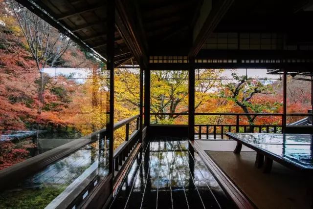 除了一年開兩次的琉璃光院，京都還私藏了些紅葉勝地能讓你驚嘆不已～ 旅行 第10張