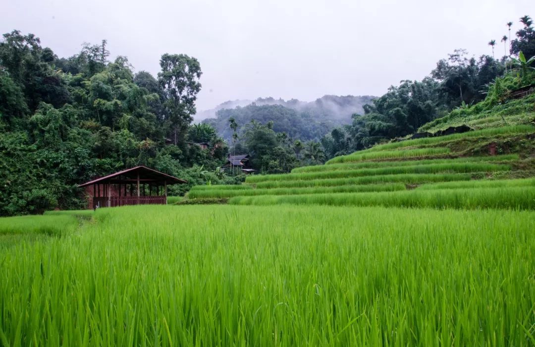 泰國免落地簽證費延長至4月！出發前請帶上這份獨家指南 旅遊 第34張