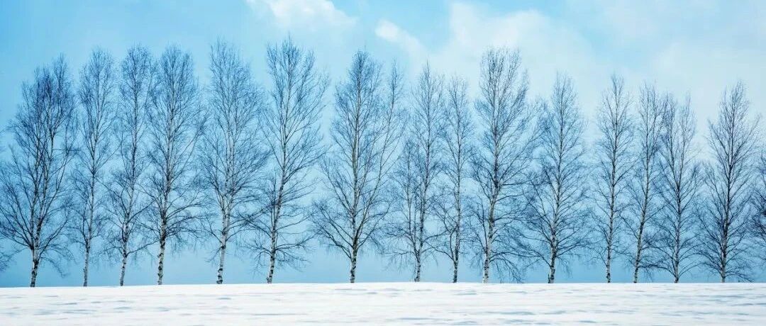 《情书》都重映了，什么时候才能重返北海道