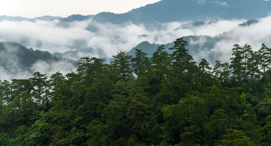 小眾自駕路線推薦！藏在山水民居裡的美景，該被發現了 旅遊 第19張