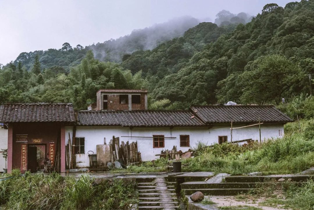 8月最值得期待的流星雨來啦！不用去遠方，在家門口就能看見它 旅遊 第25張