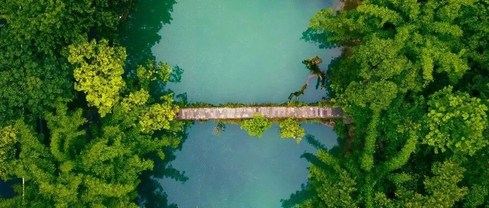 在计划下半年的中国旅行?先看看这些优惠信息!