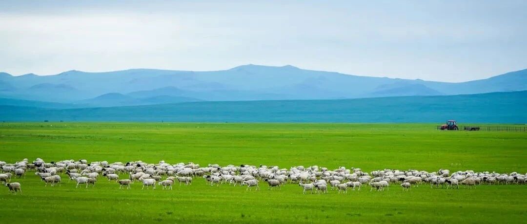 草原季即将开启，如何选择最适合你的草原？