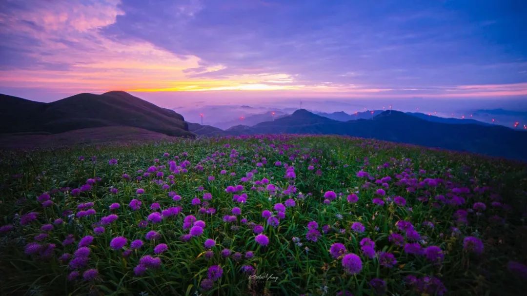 8月去哪兒？一期一會的多彩體驗，錯過不再有 旅遊 第5張