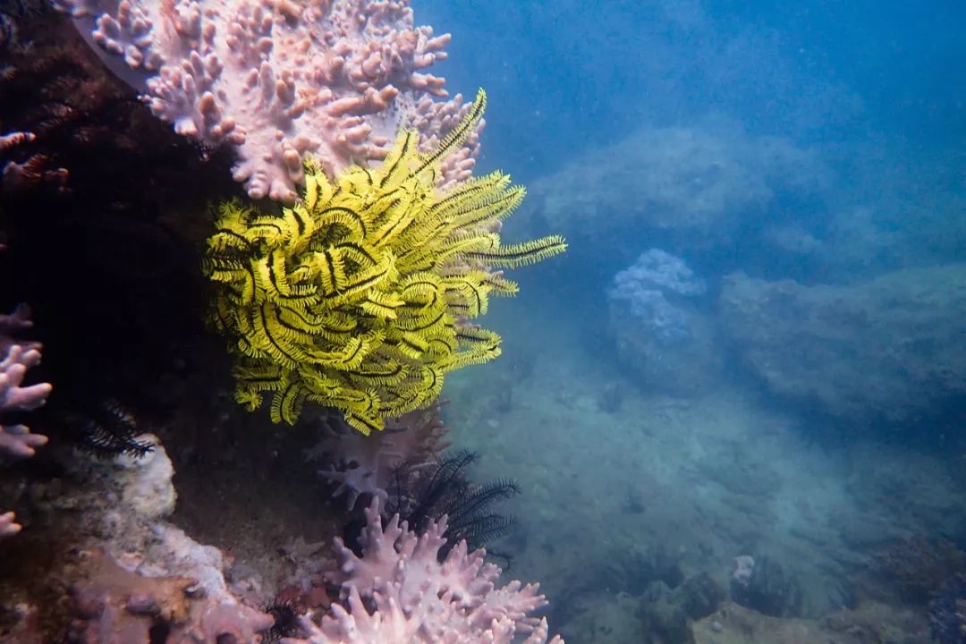 大半年沒出國海島遊？家門口的小眾海灘一樣不容錯過 旅遊 第3張