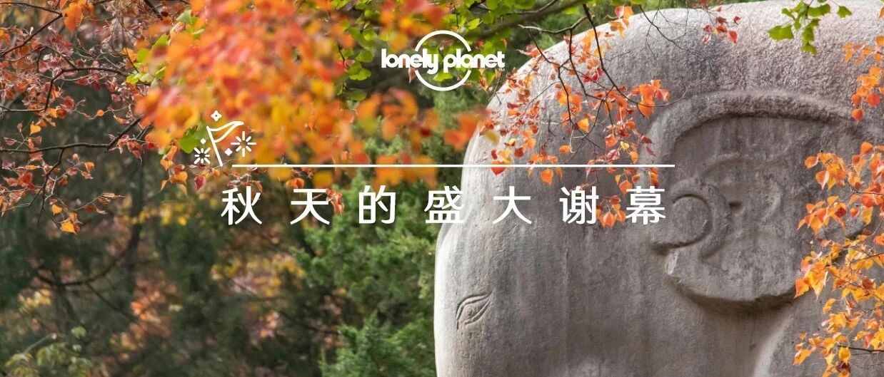 11月去哪儿？红枫银杏，江河湖海，错过再等一年！