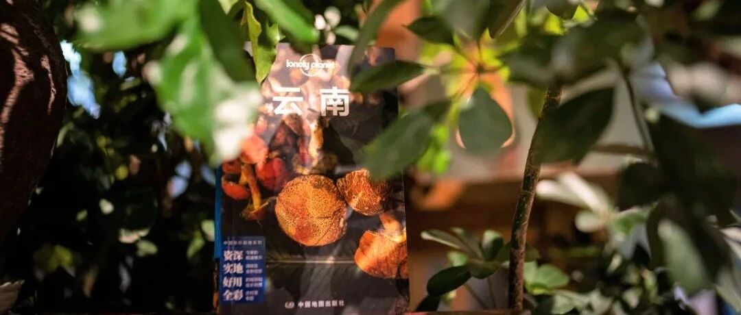 上新了，《云南》！这个中国最丰富、多元的目的地，永远有惊喜在等待