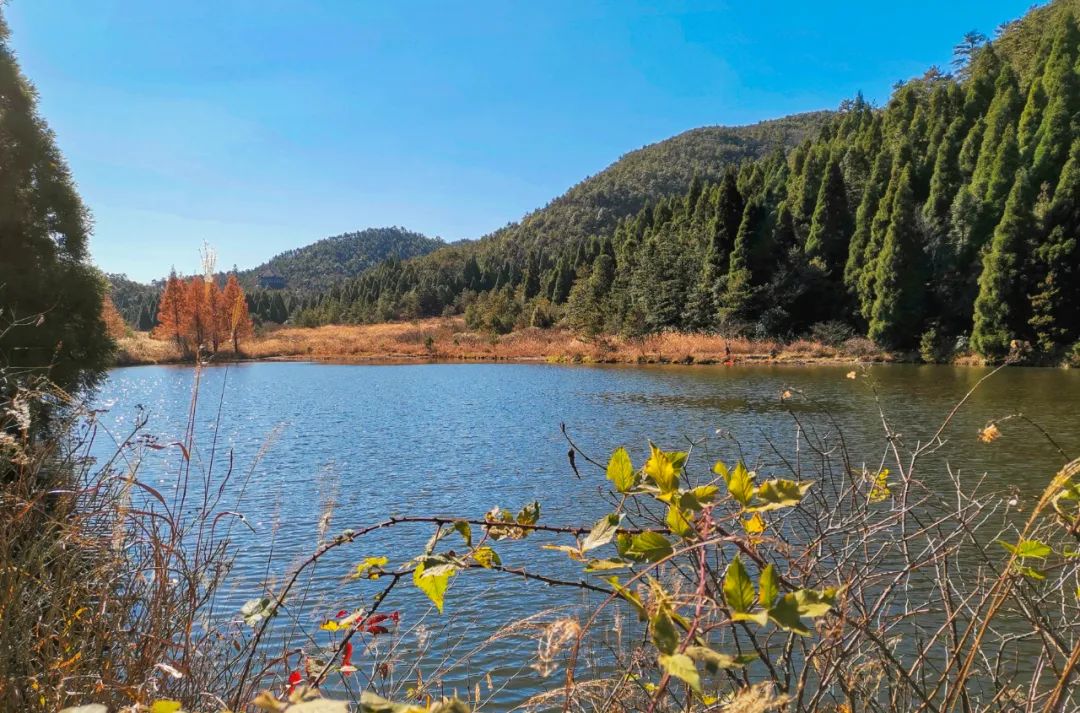 中國超驚艷山水秘境，滿足你所有的夏日幻想 旅遊 第50張