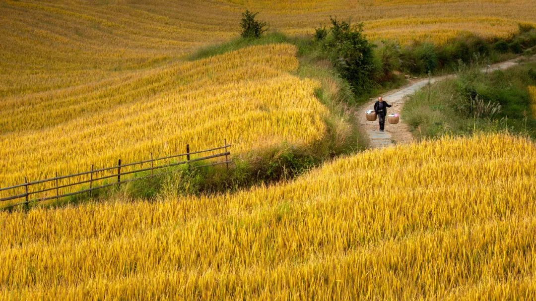 9月去哪兒？錯峰出遊，赴一場色彩與美食的盛宴 旅遊 第32張