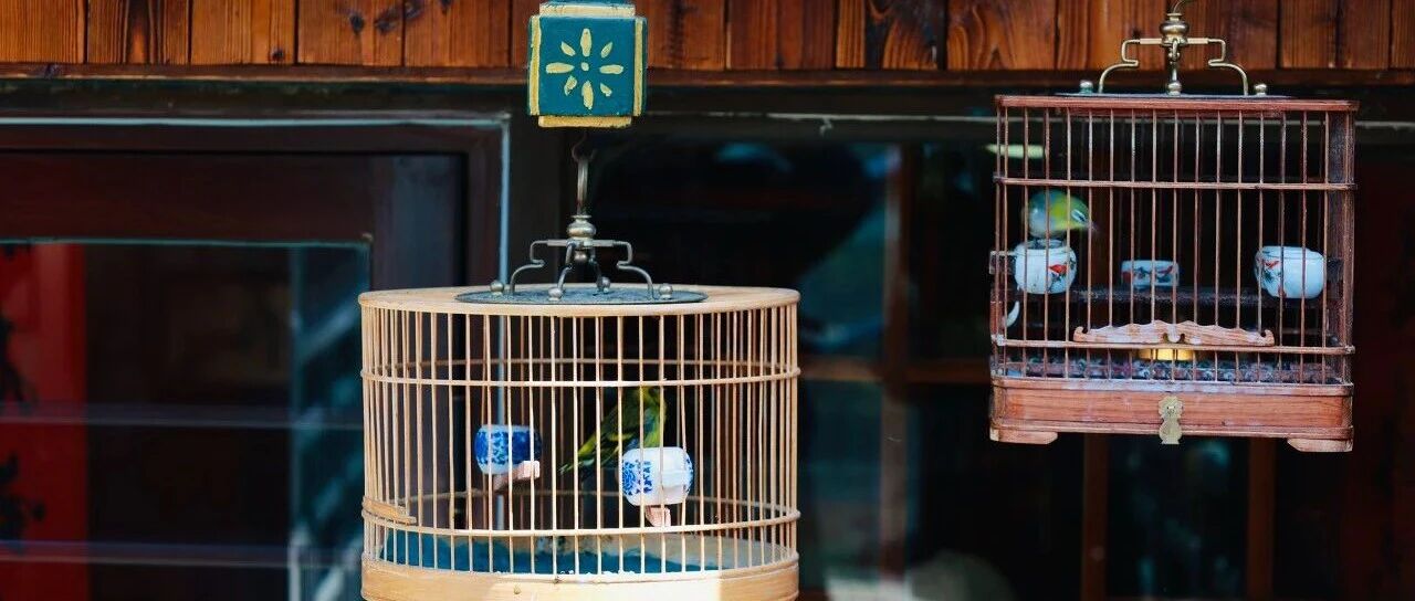 上新了，City Walk！不出远门也同样收获满满