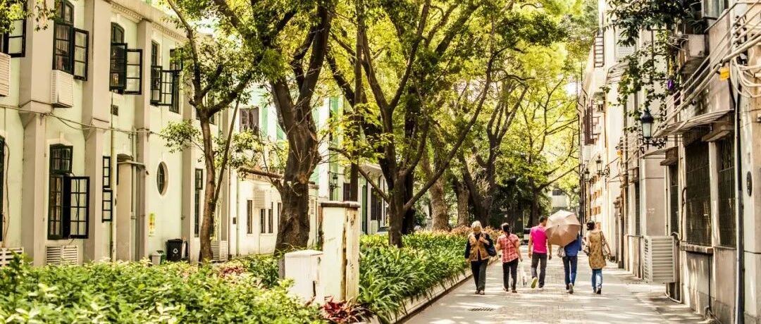 5条另辟蹊径的City Walk，开启你的城市漫游之旅