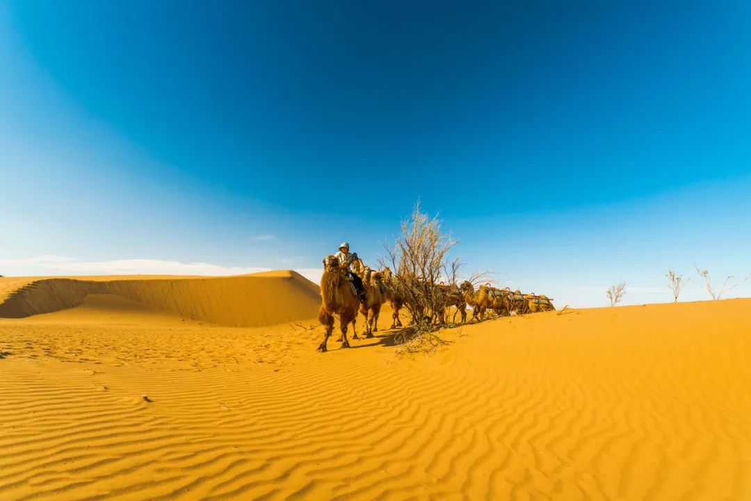 假裝在國外 | LP又發現一處寶藏地，比摩洛哥划算還有趣 旅遊 第6張