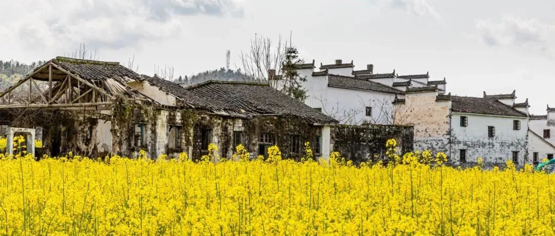 这条春日自驾线路，一路的风景都会让你大呼值得！