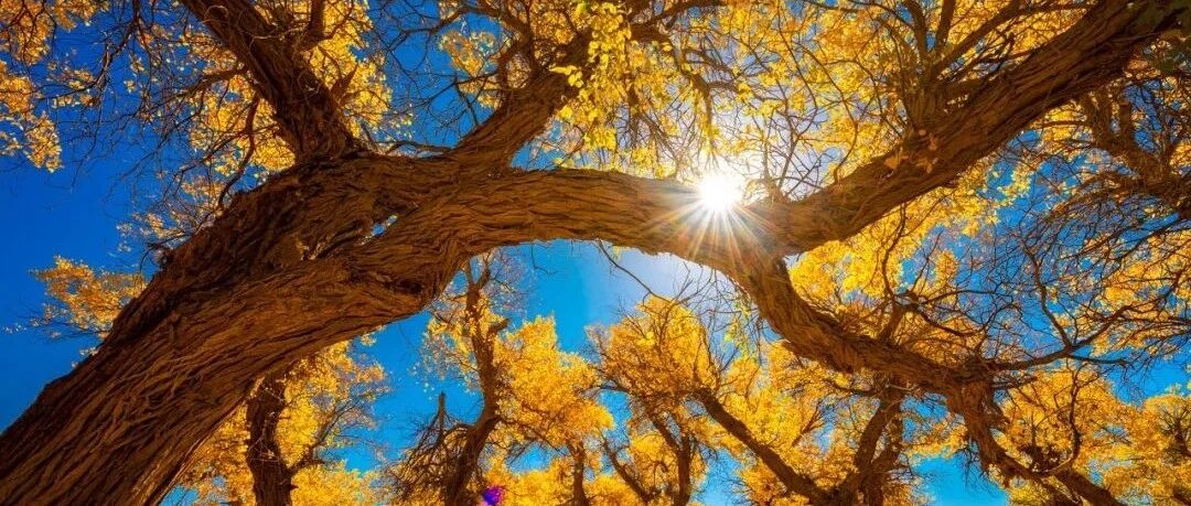 今秋中国最有色彩的地方，满足你对“诗和远方”的一切向往